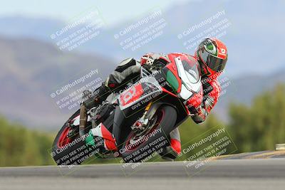 media/Feb-24-2024-Chuckwalla Open Track (Cars N Bikes) (Sat) [[895645527c]]/2-Bike 1/Session 2 (Turn 9 Entry)/